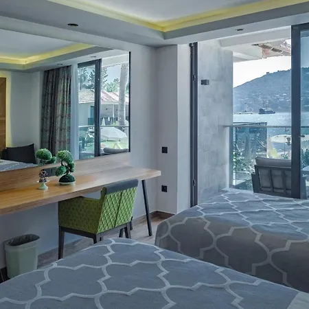 酒店 全景全包酒店 4*