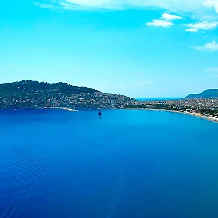 Panorama 4*