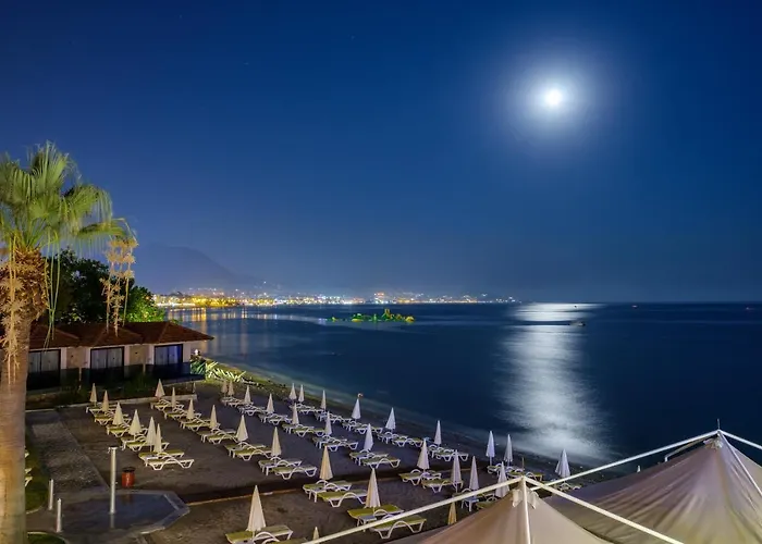 بانوراما - شامل كليًا