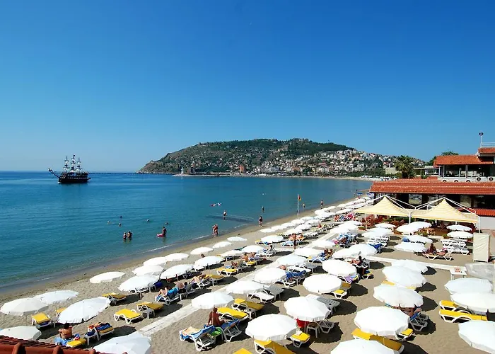 فندق بانوراما - شامل كليًا